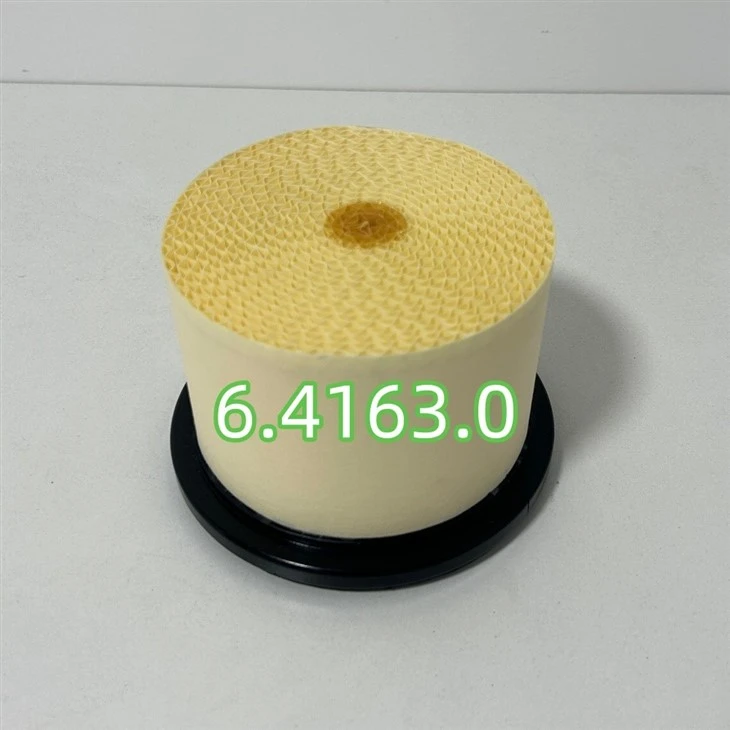 6.4163.0 High Efficiency Compressor Part Air Filter For Air Compressor suppliers