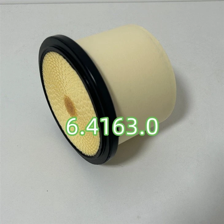 6.4163.0 High Efficiency Compressor Part Air Filter For Air Compressor best