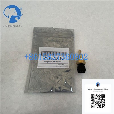 High Quality ZS1171610 For Temperature Sensor Air Compressor